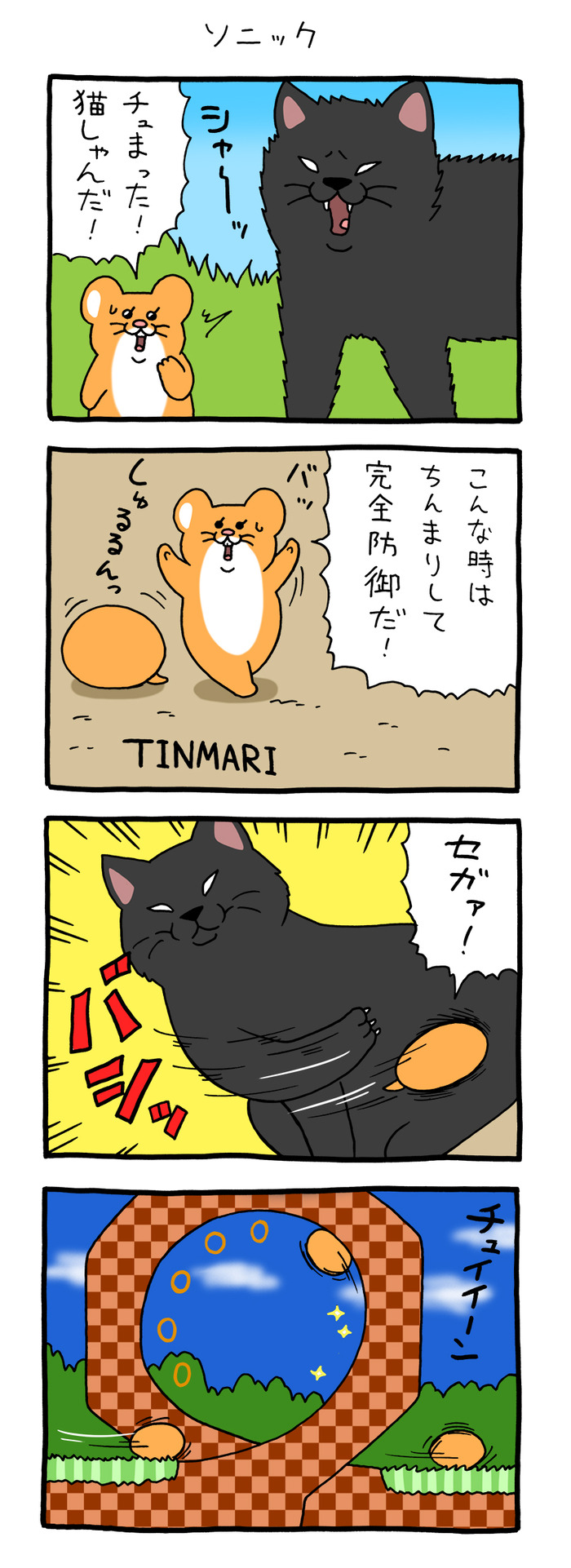 スキネズミ「ソニック」