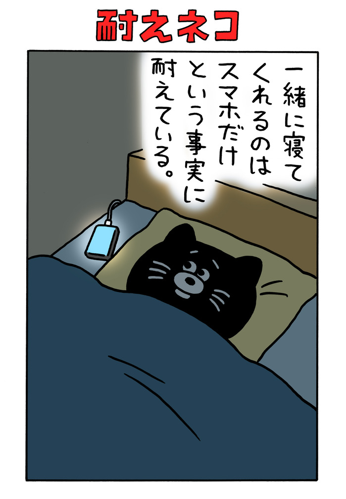 耐えネコ「一緒に寝てくれるのはスマホだけという事実に耐えている」