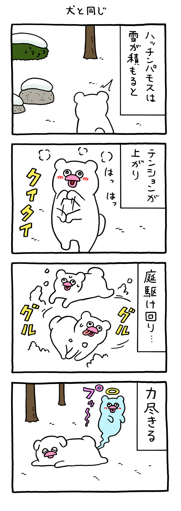 絶滅寸前の動物ハッチンパモス「犬と同じ」