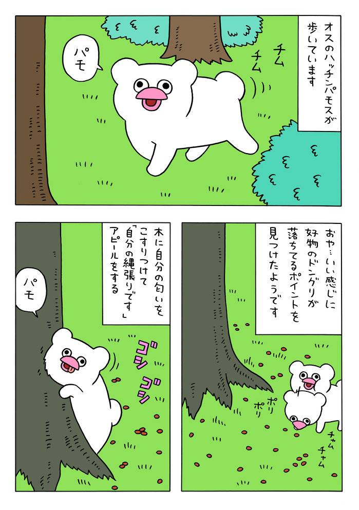 恋に落ちたハッチンパモス