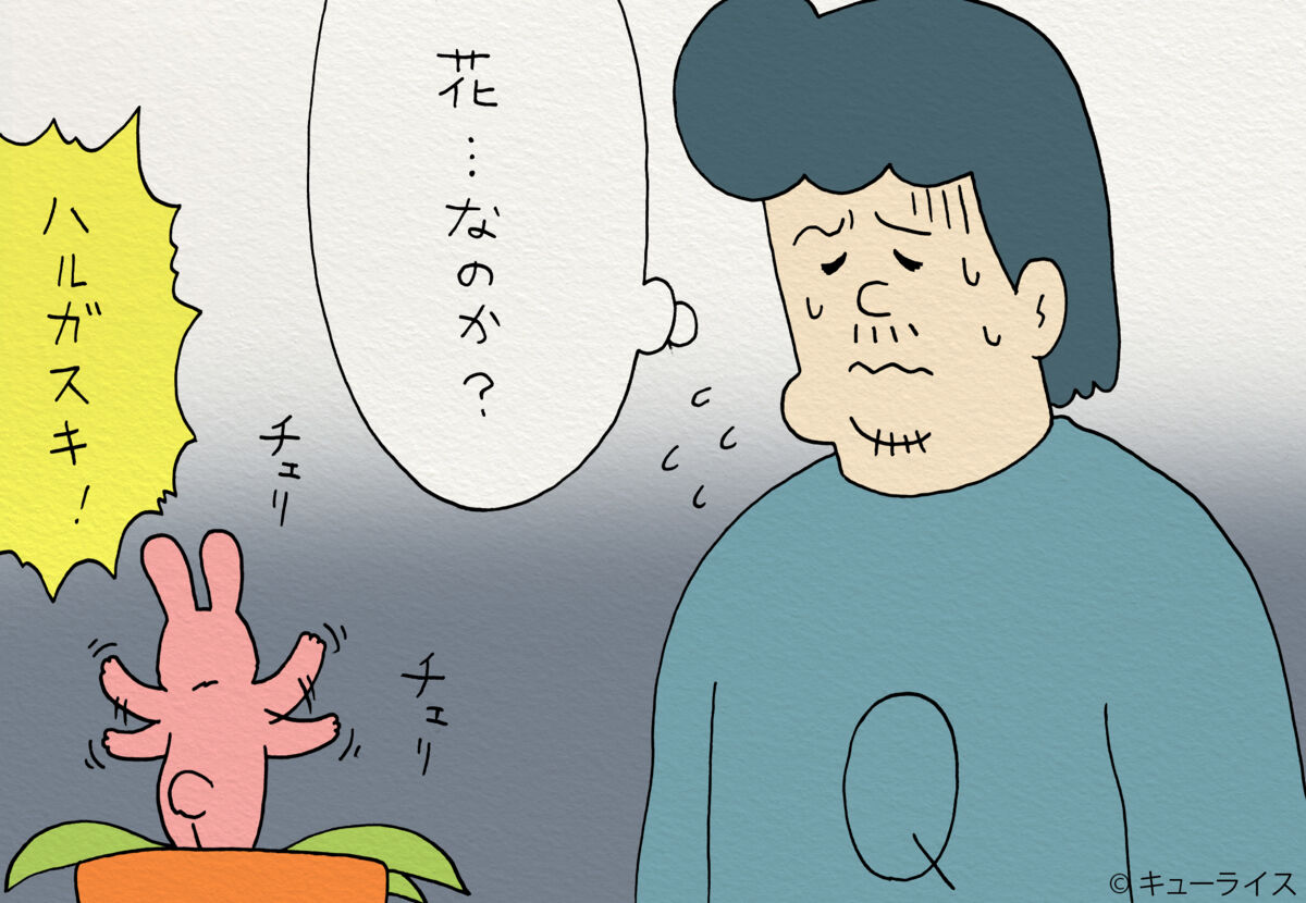 f:id:q-rais:20180327111029j:plain f:id:q-rais:20180327111029j:plain