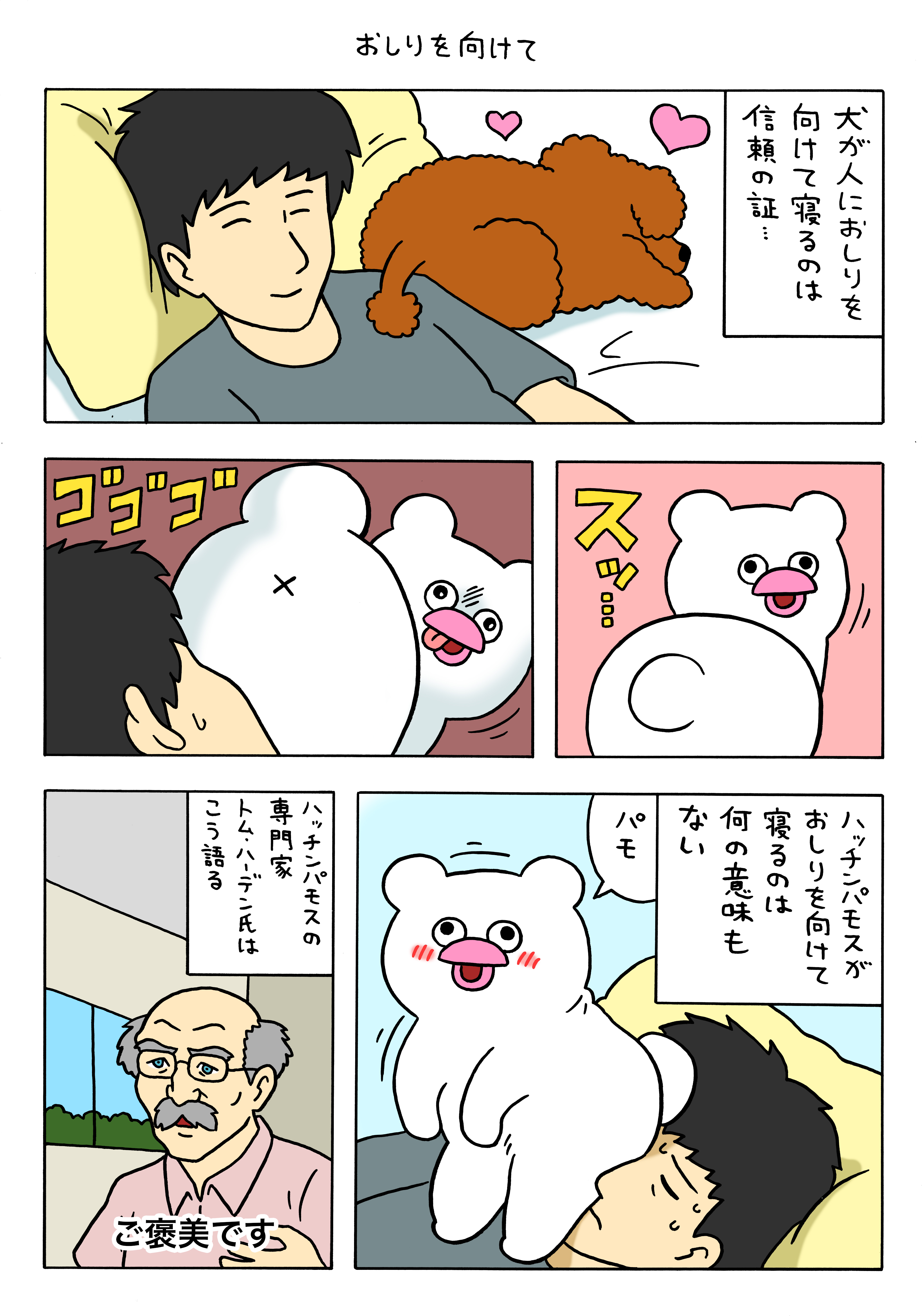 絶滅寸前の動物ハッチンパモス「おしりを向けて」 : キューライス記 