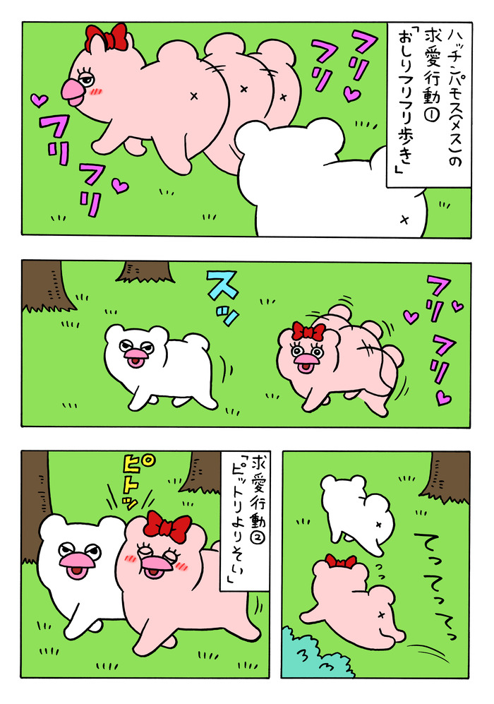 恋に落ちたハッチンパモス（メス）3 のコピー
