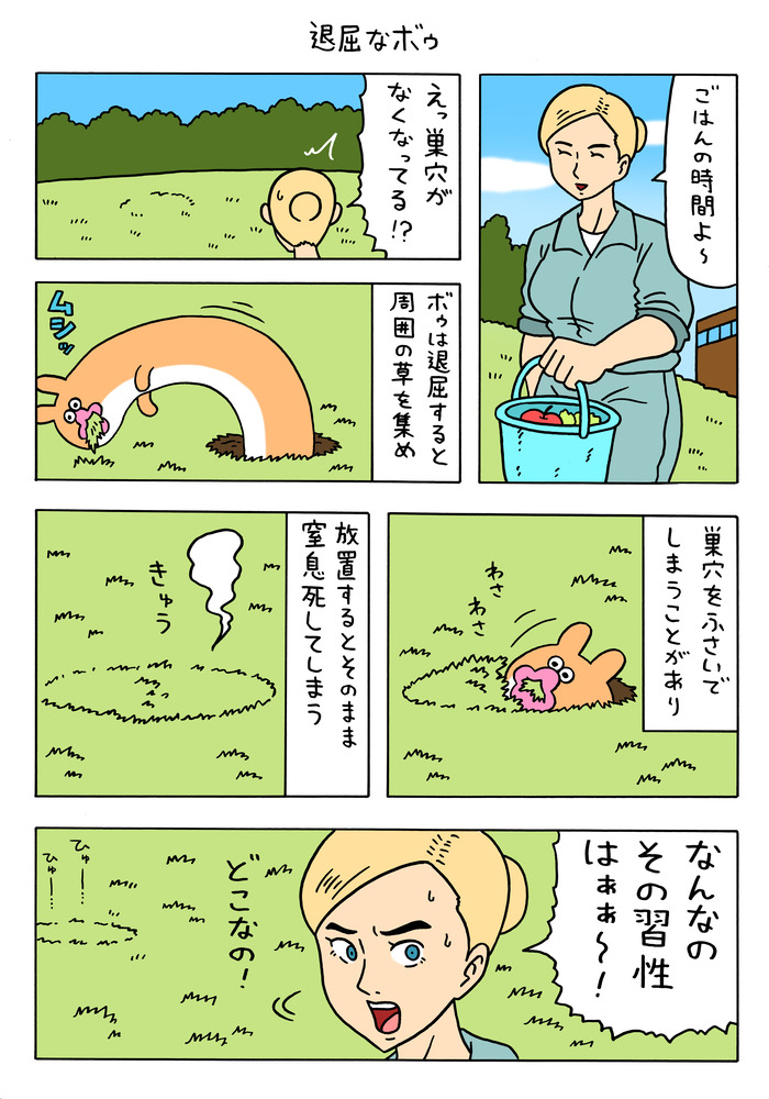 絶滅寸前の動物ボゥ「退屈なボゥ」「さすらいの風船」