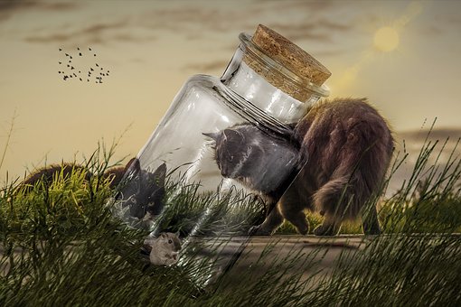 fantasy-3893468__340