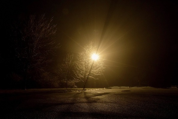 fog-2047937_960_720
