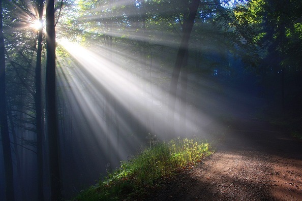 sunbeam-2761911_960_720