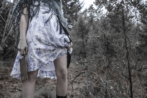 forest-2096088_1280