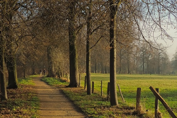 nature-1895886_960_720