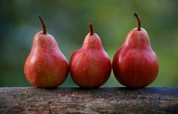 pears-1209915_960_720