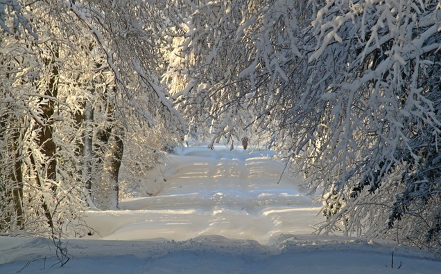 winter-1060526_960_720