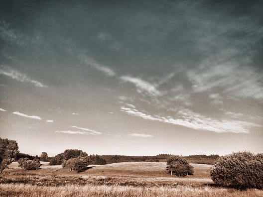 summer-meadow-824482_960_720