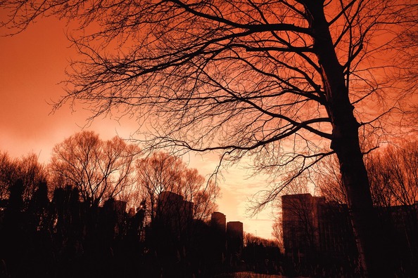 skyline-3138335_1280