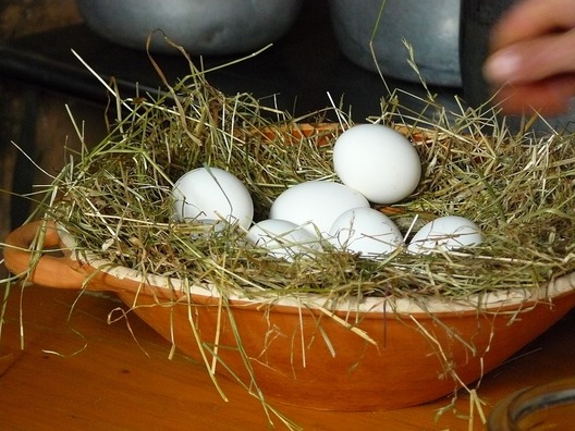 egg-351814_960_720