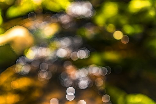 bokeh-2595838__340