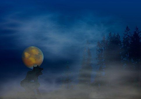 werewolf-620743__340