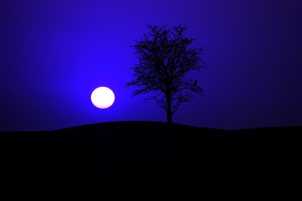 night-2341435_960_720