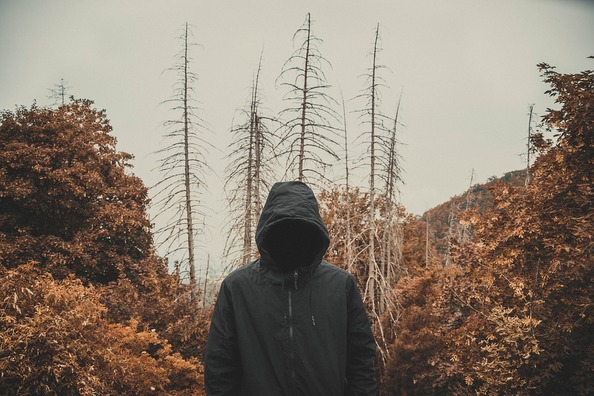 veiled-3624841_960_720