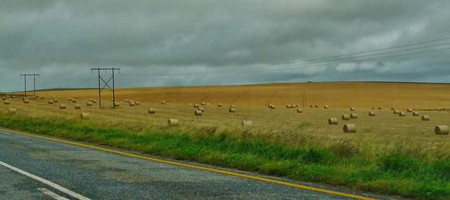 road-373275_960_720