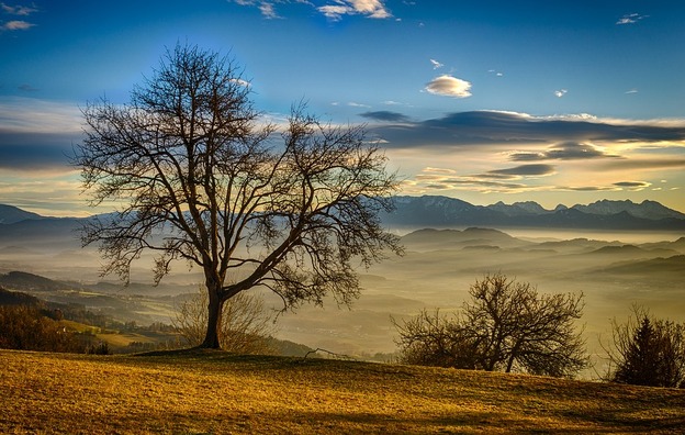 lavanttal-3903752_960_720