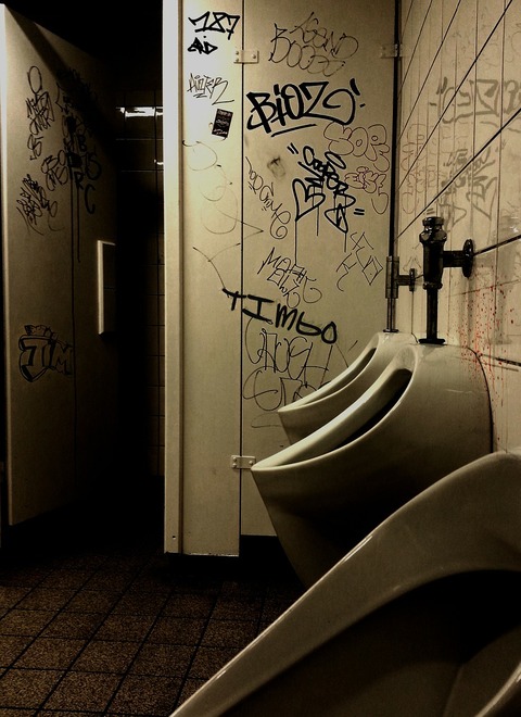 school-toilet-209058_1280
