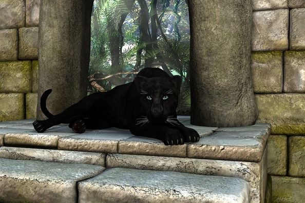 panther-1705220_960_720