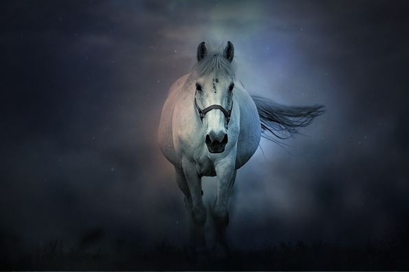 fantasy-4284821_960_720