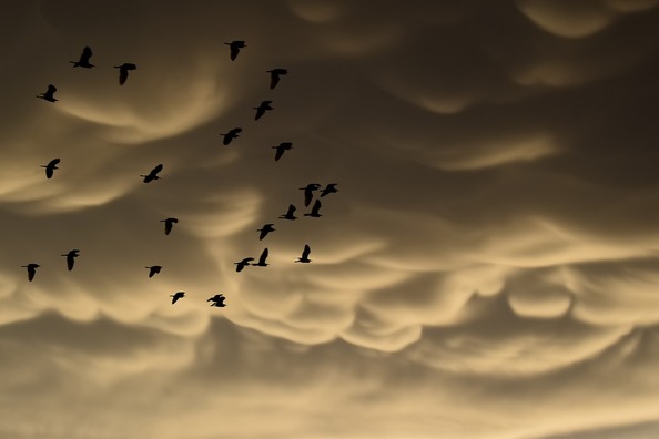 mammatus-clouds-3742847_960_720
