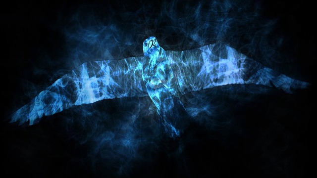 bird-2215704_960_720