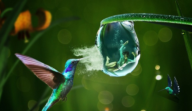 rescue-3682486_960_720