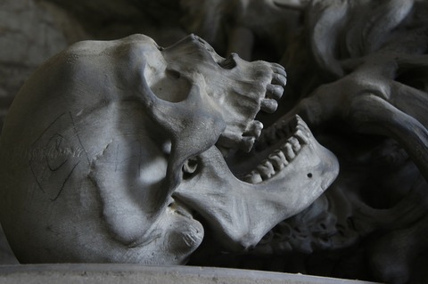 skull-476740_1280