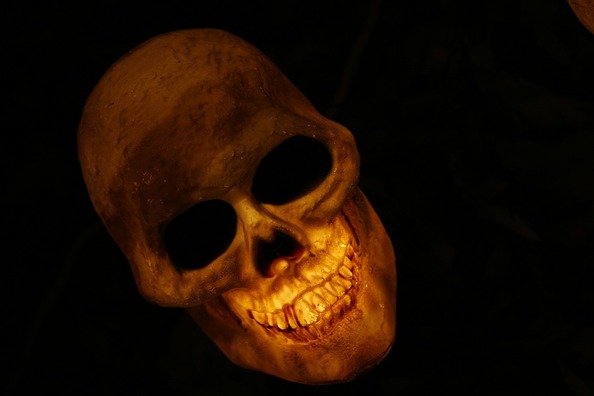 skull-570975_1280