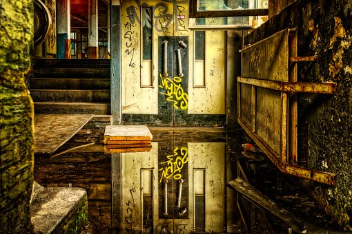pforphoto-3299456__340