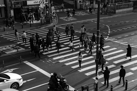 the-traffic-light-2157162_1280