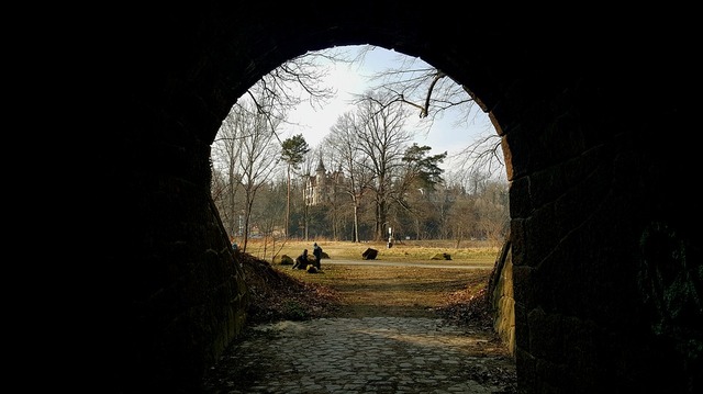 nature-3271892_960_720