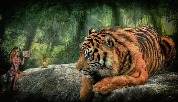 tiger-2125137__340