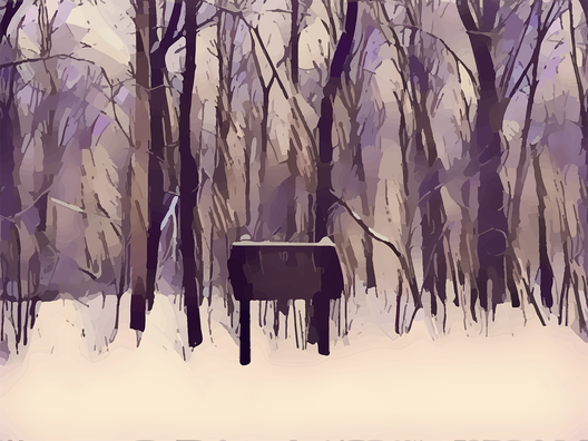 woods-3339335_960_720