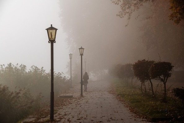 fog-4105667_960_720