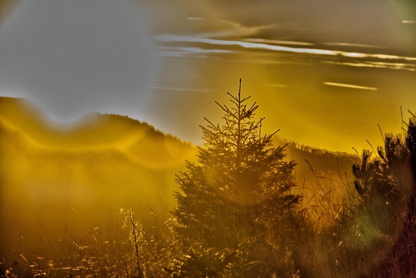 autumn-3817426_960_720