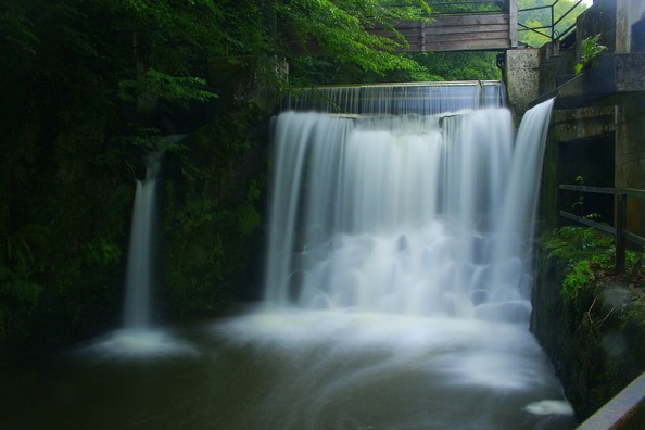 nature-3554691_960_720
