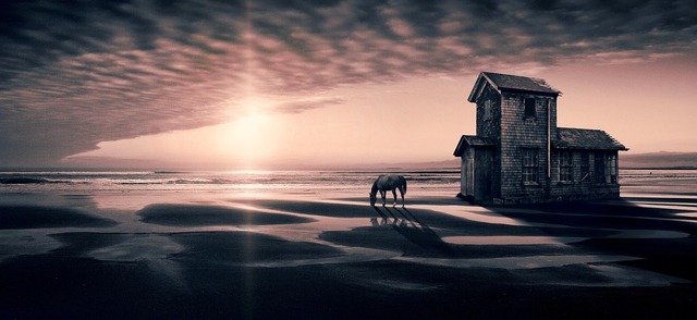 fantasy-3987481_960_720