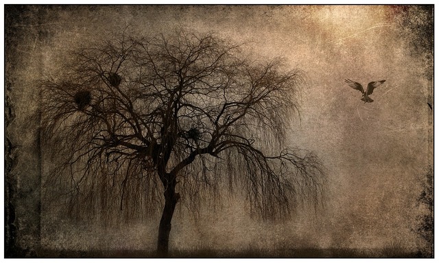 landscape-677678_960_720