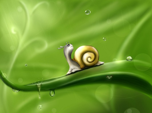 snail-83672_960_720