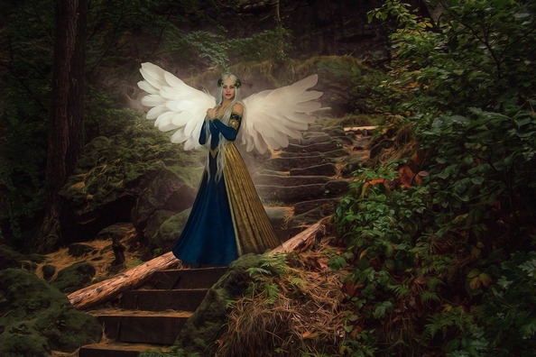 nature-3128519_960_720