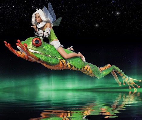 frog-3148491_960_720