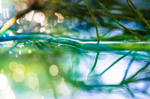 macro-2681022__340