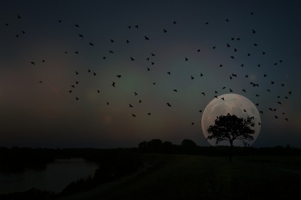 full-moon-3779078_960_720