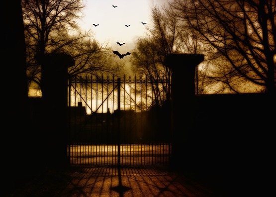 bats-3779479_960_720