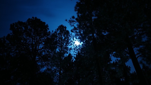 moonlight-2813797_960_720