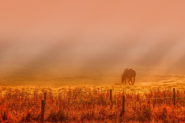 sunrise-3377564_960_720